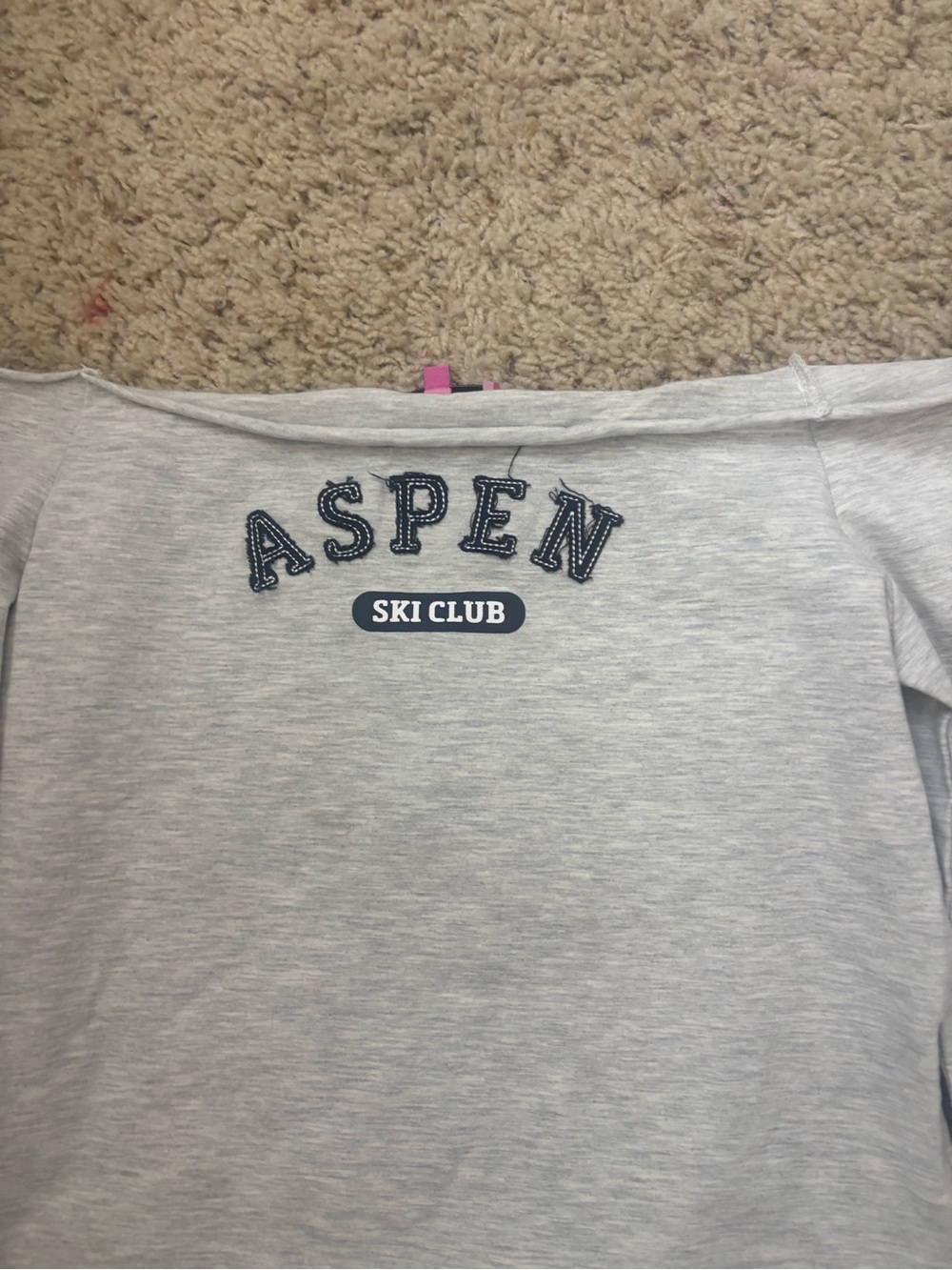 Edikted Aspen Ski Club Light Gray top